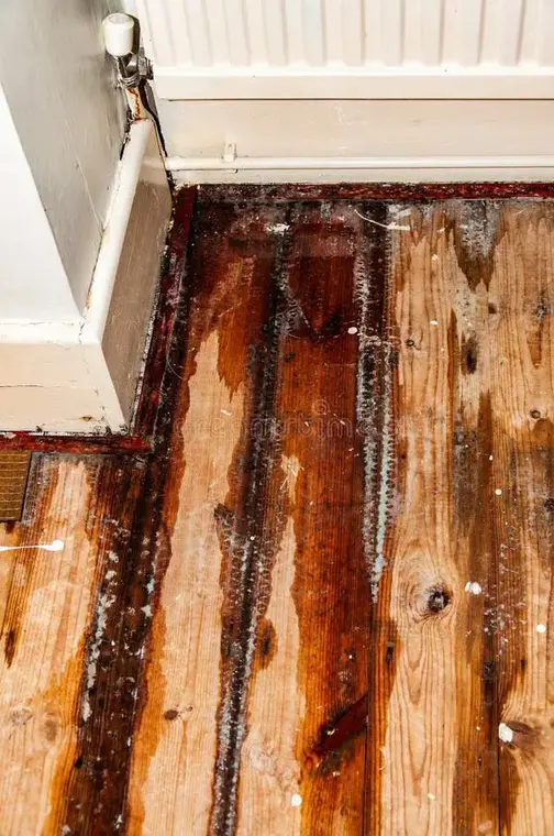 Water-damaged hardwood floor below a radiator in a Woodside house