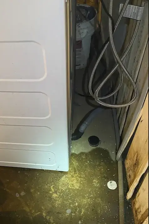 Water pooled behind a washing machine after a supply hose leak