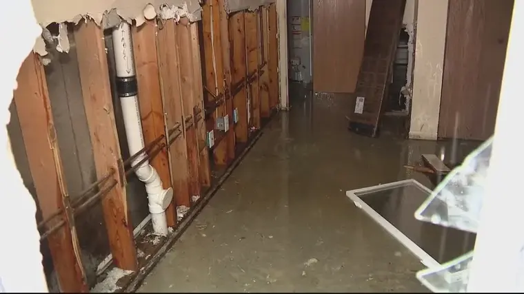 Opened wall cavities and standing water after a burst pipe in a Woodside home